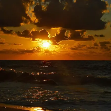 Mimosa- Per Le Vacanze Vicino A Tropea *