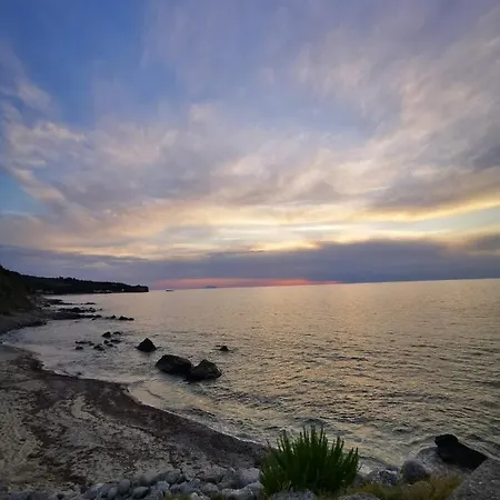 Mimosa- Per Le Vacanze Vicino A Tropea Apartamento