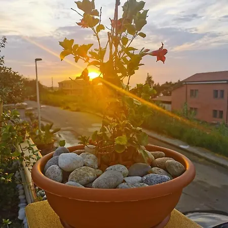 Διαμέρισμα Mimosa- Per Le Vacanze Vicino A Tropea *