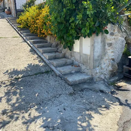 Daire Mimosa- Per Le Vacanze Vicino A Tropea