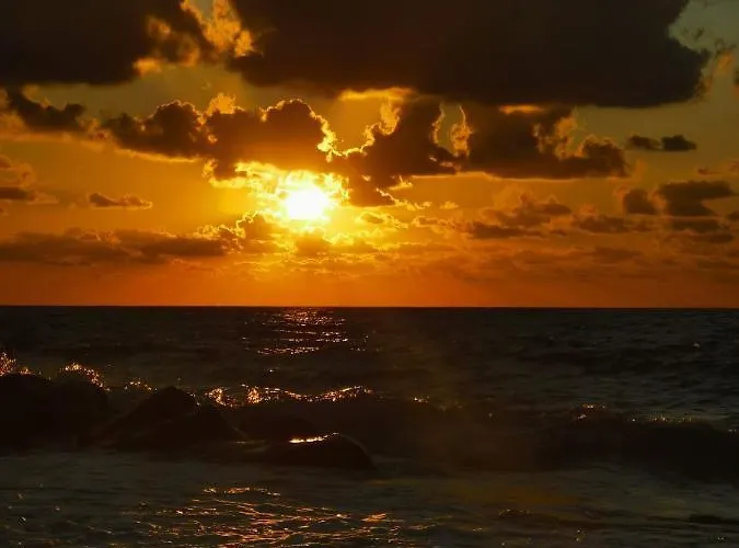 Mimosa- Per Le Vacanze Vicino A Tropea *