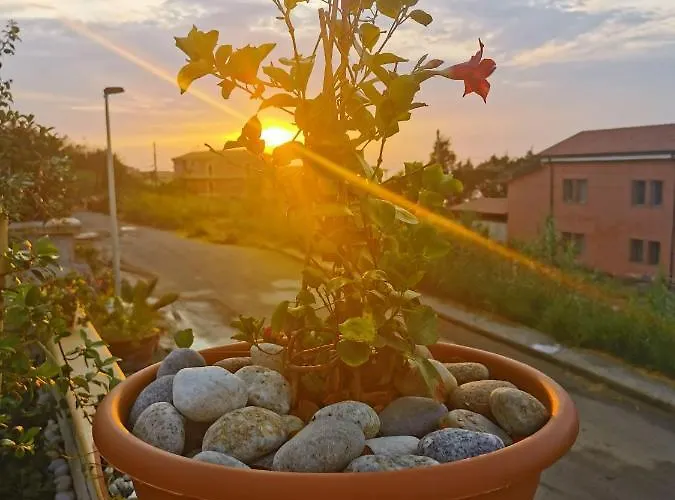 Apartman Mimosa- Per Le Vacanze Vicino A Tropea *